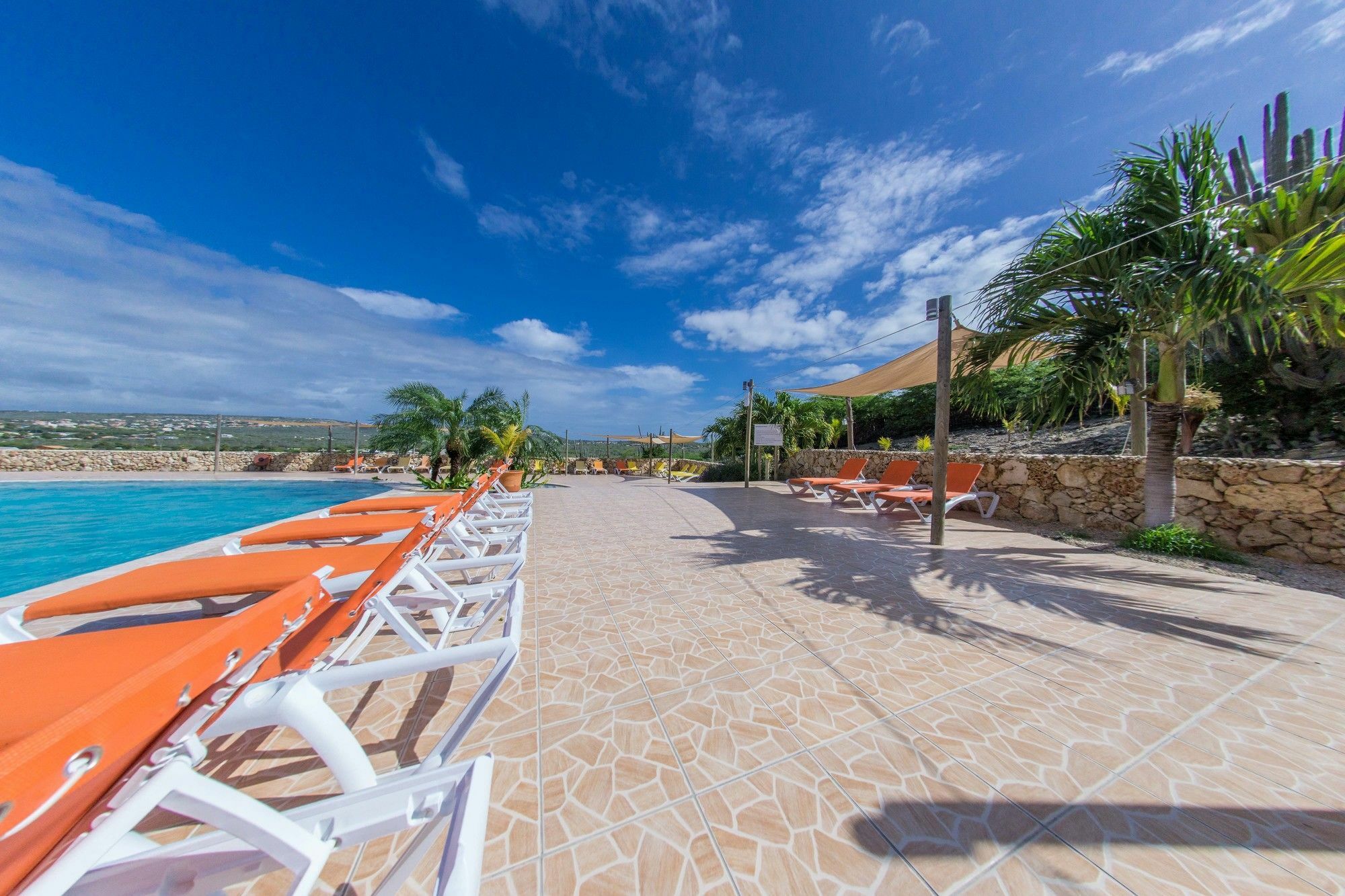 Hillside Resort Bonaire Kralendijk  Exterior photo